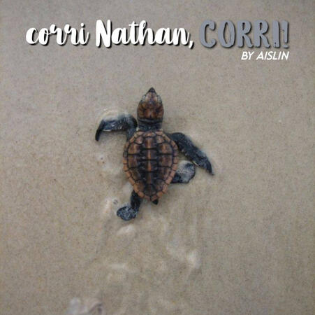 Corri nathan, corri!